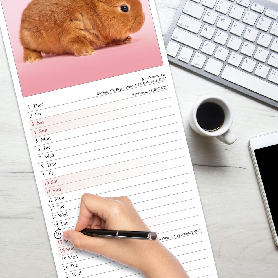 image 1 of Rabbits Slim 2026 Calendar | Slimline Wall Calendar | Animal Gift | Plastic Free Packaging | by Avonside Publishing [Calendar] Avonside Publishing Ltd