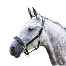 Blenheim Leather Travel Horse Headcollar - Black - X Full