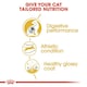 image 5 of Royal Canin Bengal 10KG