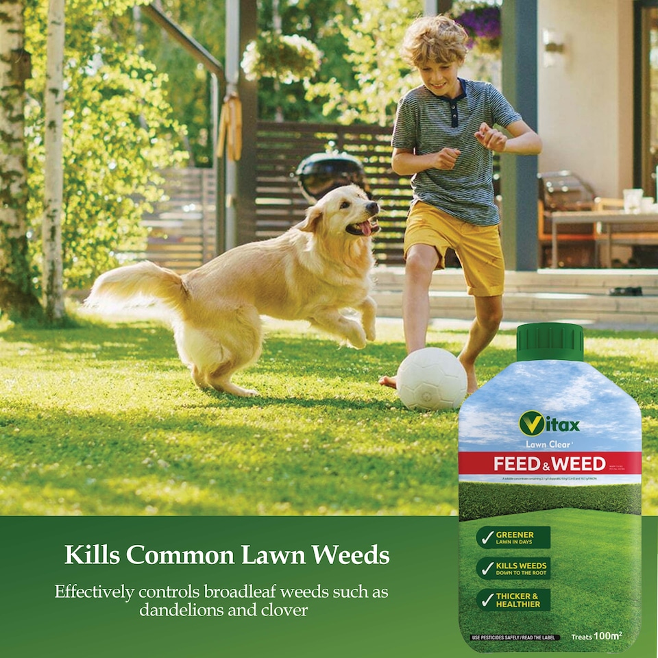 image 1 of Vitax Feed & Weed 500ml Lawn Fertiliser & Weed Control for Strong Healthy Lush Green Lawn with Dense Growth Covers 100 Square Metres