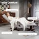 image 5 of HOMCOM Swivel Recliner Chair with Footstool and Wooden Base, Light Grey 