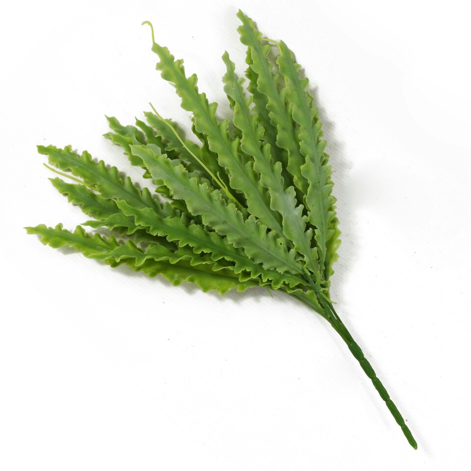 image 1 of Artificial Fern Plant 40cm Artificial Crocodile Fern Plant Pack 12