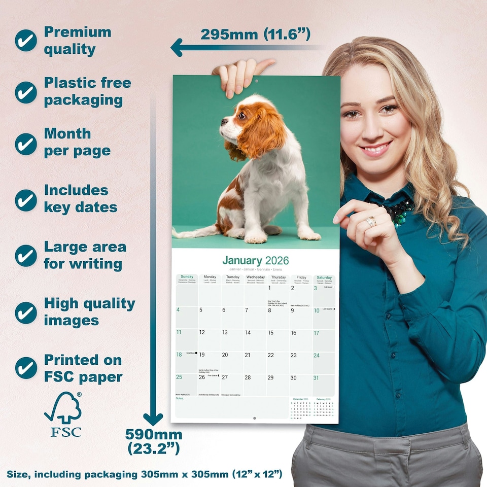 image 1 of Cavalier King Charles Spaniel 2026 Calendar | Square Wall Calendar | Dog Breed Gift | Plastic Free Packaging | by Avonside Publishing
