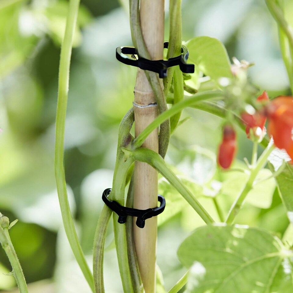 image 1 of Plant Support Clips (pack of 40)