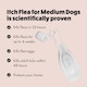 image 4 of Itch Flea Medium Dog Flea & Tick Spot On Treatment 6 Pipette (10-20kg)