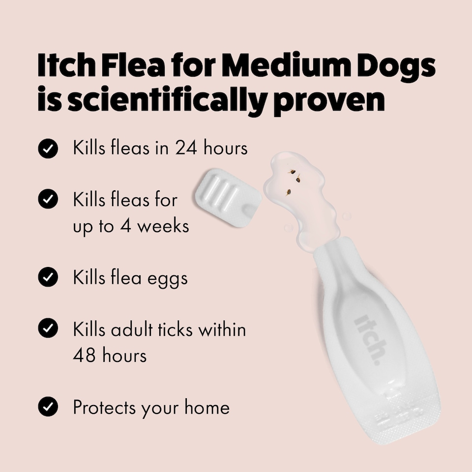 image 1 of Itch Flea Medium Dog Flea & Tick Spot On Treatment 6 Pipette (10-20kg)
