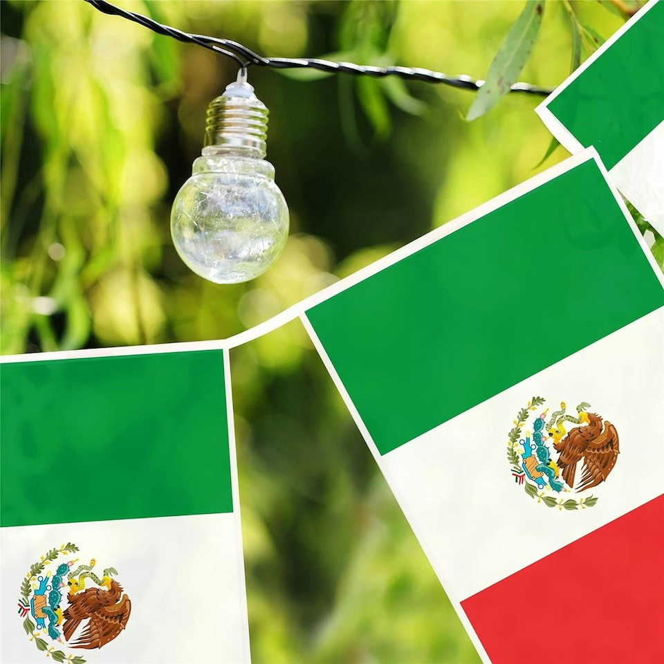 image 1 of Mexico Flag Rectangle Party Bunting 10m with 20 Flags