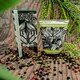 image 4 of The English Soap Company Royal Botanical Gardens Kew Hand Cream, Sandalwood Hand Cream, Moisturising Hand Cream for Men and Women, 75ml