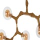 image 2 of Interiors by Premier 12 Arm Gold Finish Pendant Light
