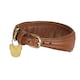 image 1 of Digby & Fox Leather Padded Greyhound Dog Collar - Tan - S - Neckline: 25cm-28cm
