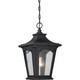 image 1 of Bedford 1 Light Small Chain Lantern - Mystic Black Finish, E27