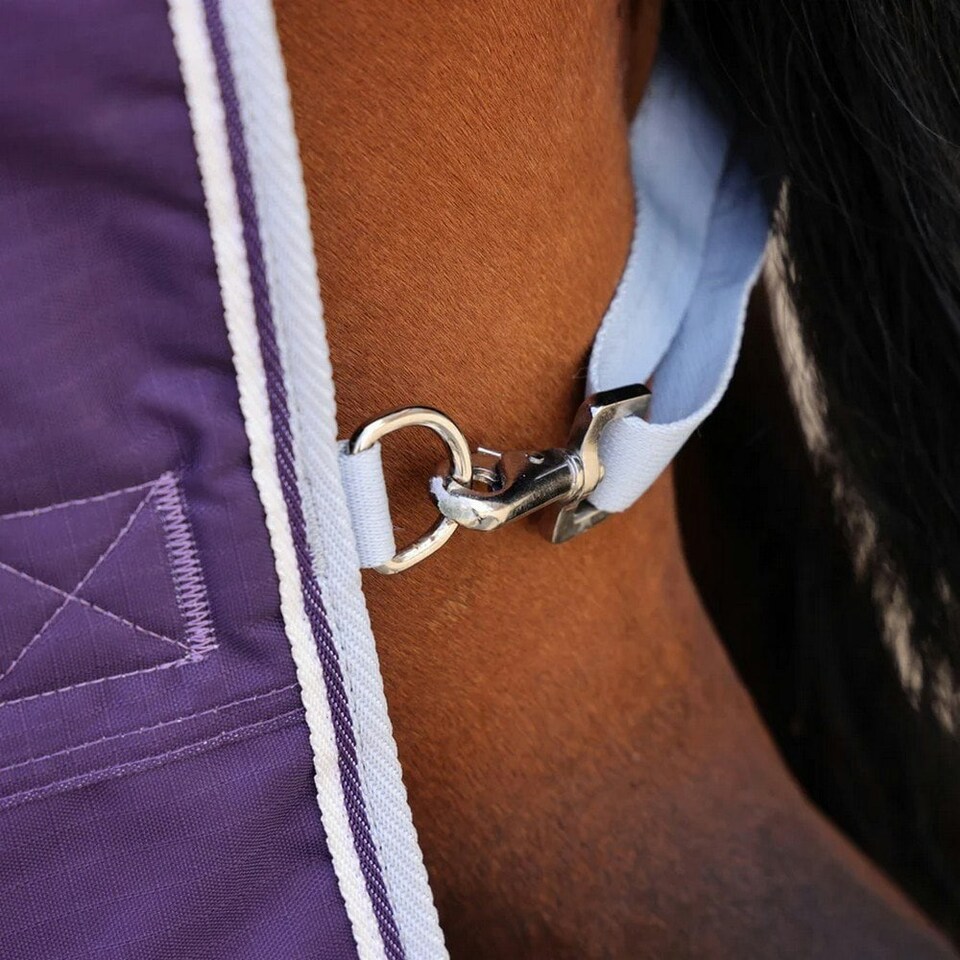 image 1 of Highlander Original 100 Standard-Neck 100g Horse Turnout Rug - Plum - 6´ 9"