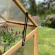 image 5 of Wooden Framed Polycarbonate Growhouse Mini Greenhouse
