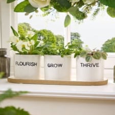 Grow, Thrive & Flourish Ceramic Herb Pots White