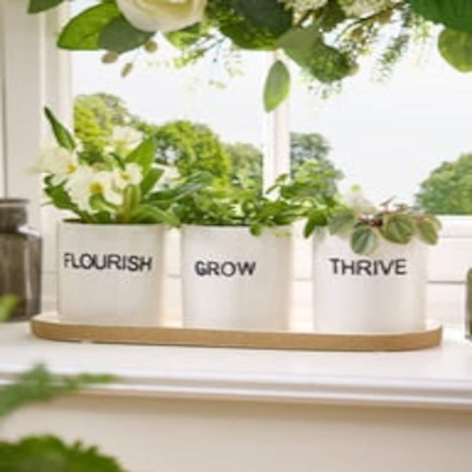 image 1 of Grow, Thrive & Flourish Ceramic Herb Pots White