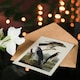 image 4 of John James Audubon Art Card Goshawk and Stanley Hawk