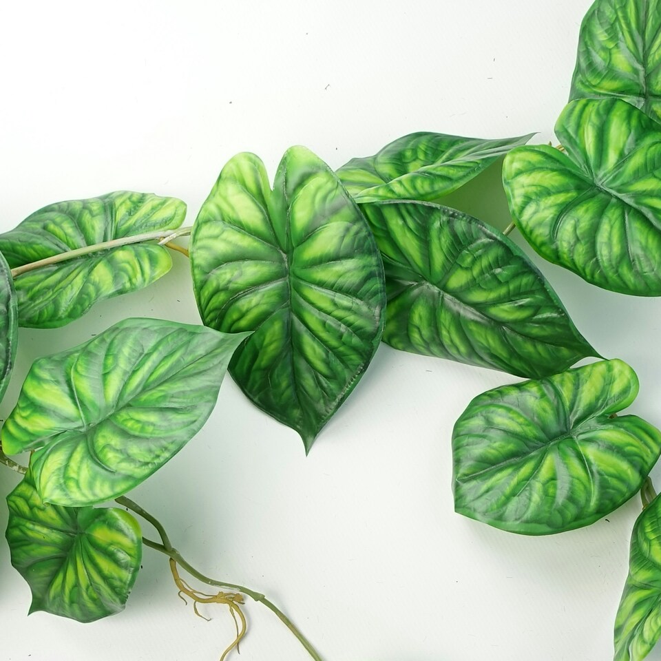 image 1 of 120cm Artificial Hanging Trailing Plant Alocasia Dragon Scale Green