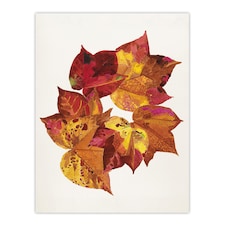 Autumn Leaves Leaf Patterns Reijer Stolk Wall Art Poster Print 12X16"