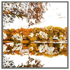 Autumn lake (Picture Frame) Grey | XS