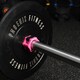 image 2 of Phoenix Fitness Barbell Clamps 2 Inch Pink