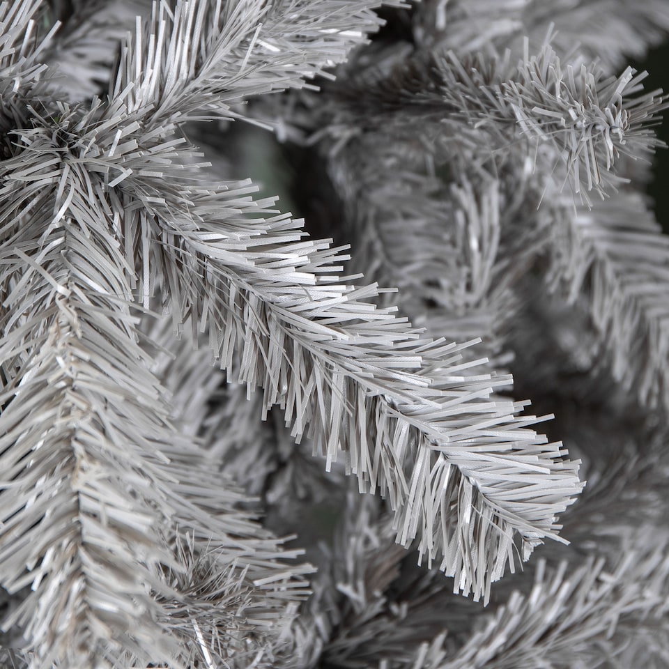 image 1 of 6ft (180cm) Colorado Grey Spruce Christmas Tree with Wrapped Branches & 483 Tips
