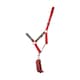 image 1 of Little Knight Horse Headcollar and Leadrope Set - Red/Charcoal Grey - Cob