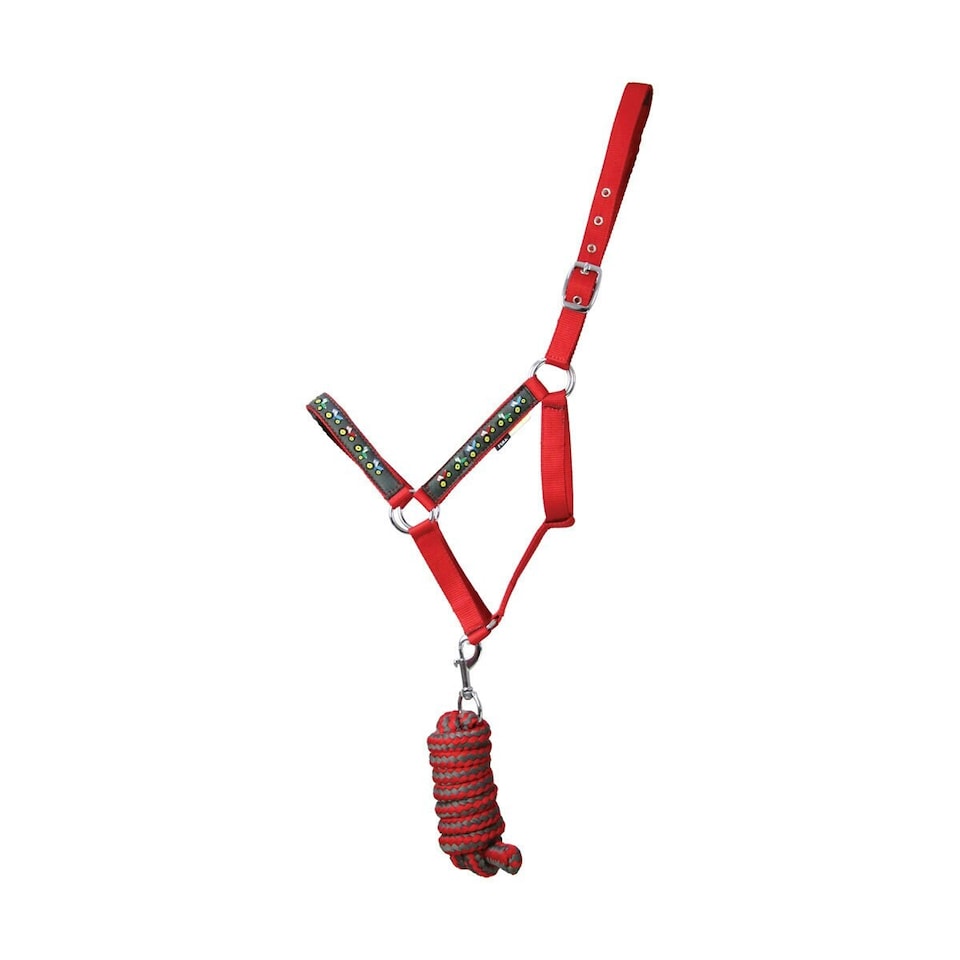image 1 of Little Knight Horse Headcollar and Leadrope Set - Red/Charcoal Grey - Cob