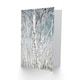 image 2 of Carol M Highsmith Art Card Birch Trees in Utah Photograph