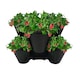 image 4 of Trio Stackable Stacking Strawberry Planter Plant Flower Pot Herb Garden Patio UK Black