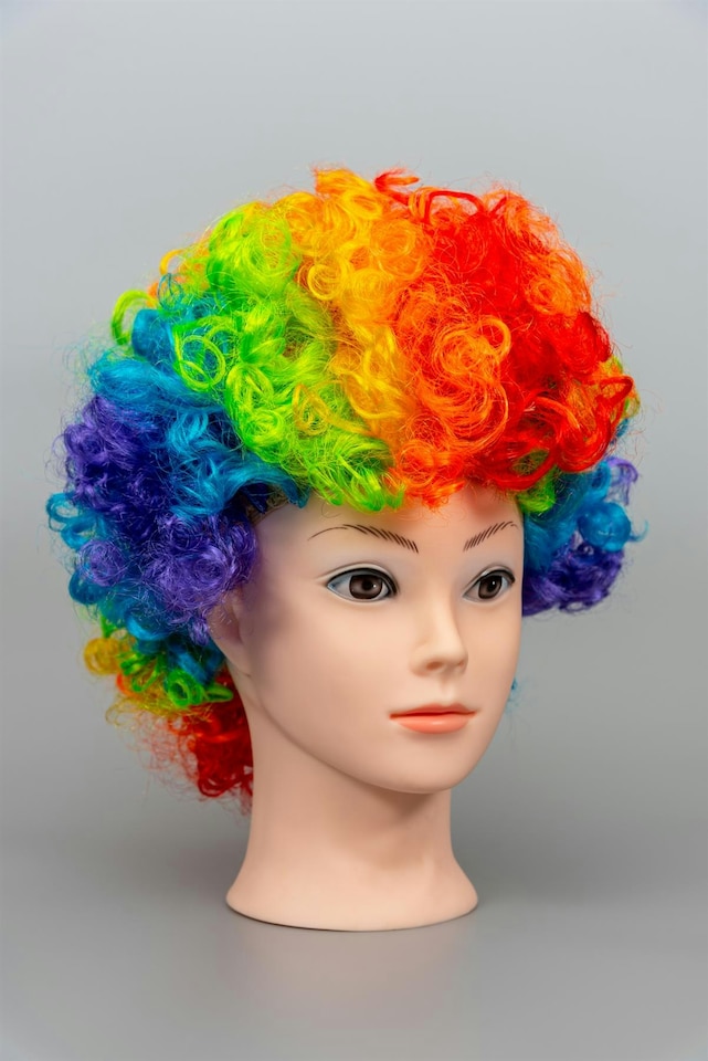 image 1 of Afro Wigs Curly Bouncy Hair Fancy Dress Party Costume Disco Accessory Unisex 60s 70S 80s Theme | Multi