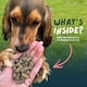 image 7 of Wilsons Lamb Cold Pressed Dog Food Natural Protein Balanced Nutrition Diet - 10kg bag