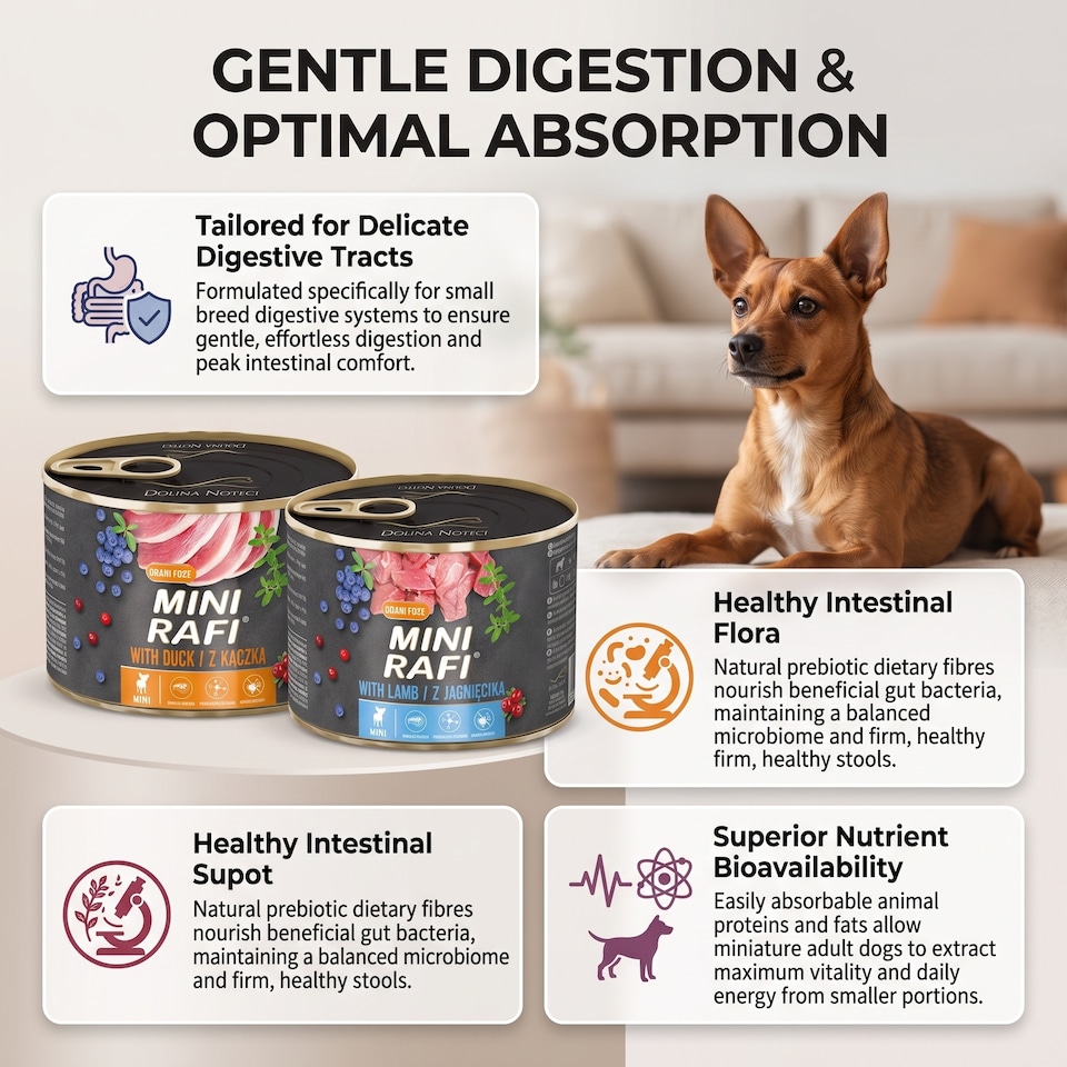 Rafi Mini Complete Wet Dog Food Lamb Grain Free Small Breed Adult 185g ...