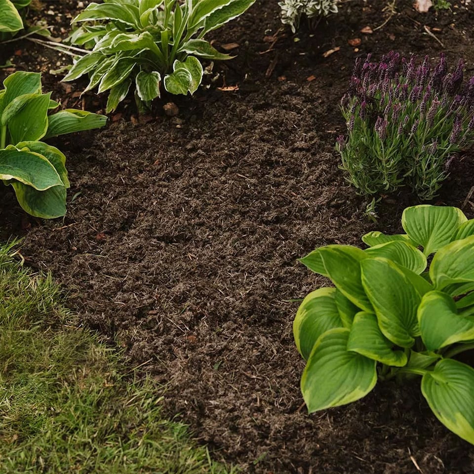 image 1 of Westland Weed Stop Decorative Ground Cover - 6 Months Protection - 50 litres