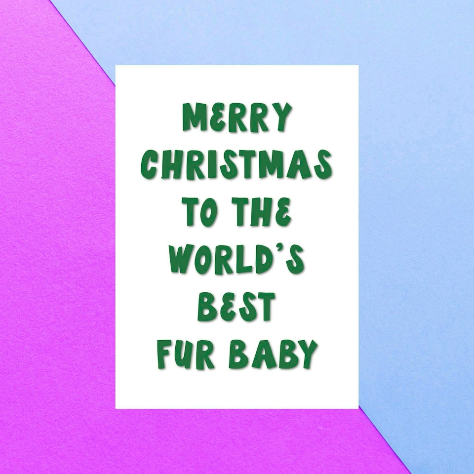 Merry Christmas To The World's Best Fur Baby Greetings Card