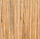 image 1 of Primrose Bamboo Cane Natural Garden Screening Roll Privacy Fencing Screen W4m x H2m | Brown | Brown