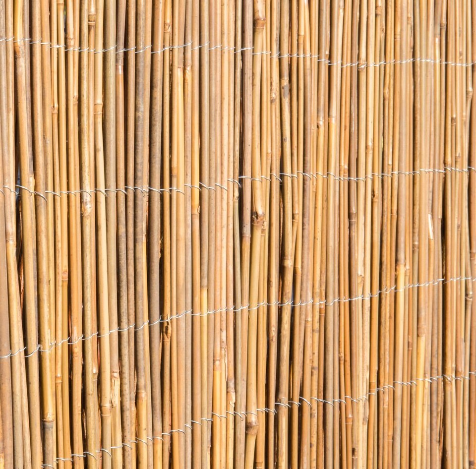 image 1 of Primrose Bamboo Cane Natural Garden Screening Roll Privacy Fencing Screen W4m x H2m | Brown | Brown