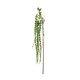 image 3 of Hill Interiors Faux Amaranthus - Green - 1m