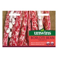 Borlotti Bean Tintoretto | Multi | Red-speckled