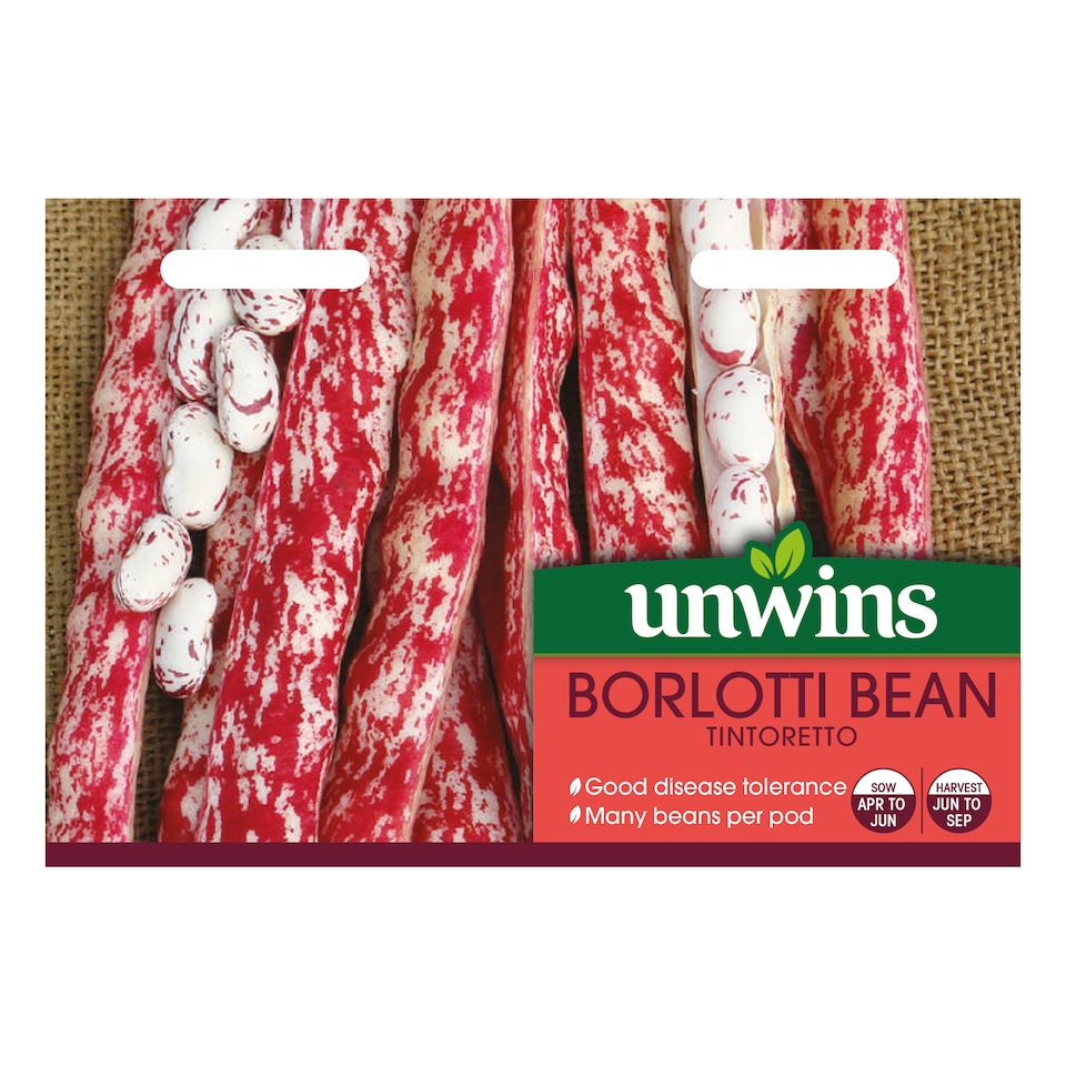 image 1 of Borlotti Bean Tintoretto | Multi | Red-speckled