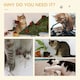 image 7 of PawHut 81cm Cat Tree Climbing Tower for Indoor with Scratching Post Beige
