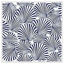 Striped sea shells (Picutre Frame) White | S