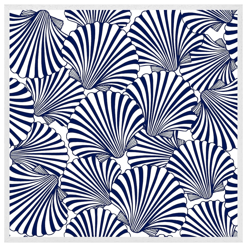 image 1 of Striped sea shells (Picutre Frame) White | S