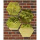 image 2 of Primrose Set of 7 Small Hexagonal Gold Garden Mirrors 11in