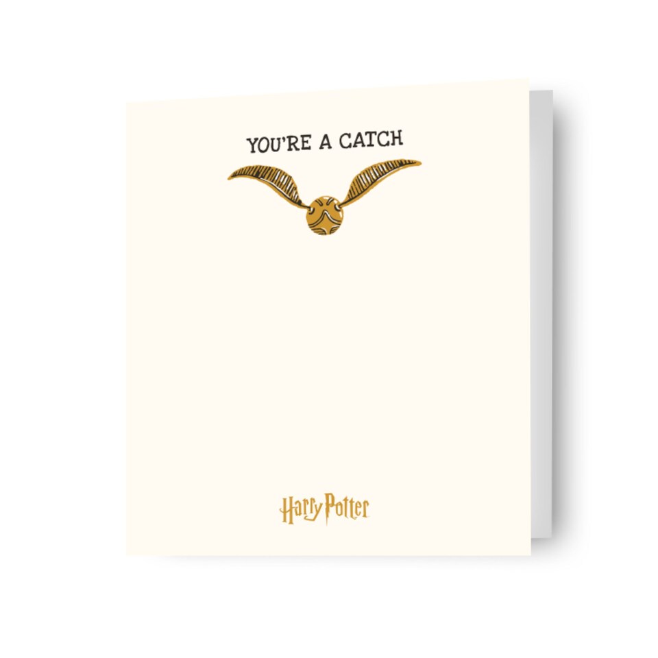 image 1 of Harry Potter 'You're A Catch' Valentine's Day Card