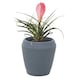 image 2 of Tramontina Egipcio Polyethylene Planter (39cm high, graphite)