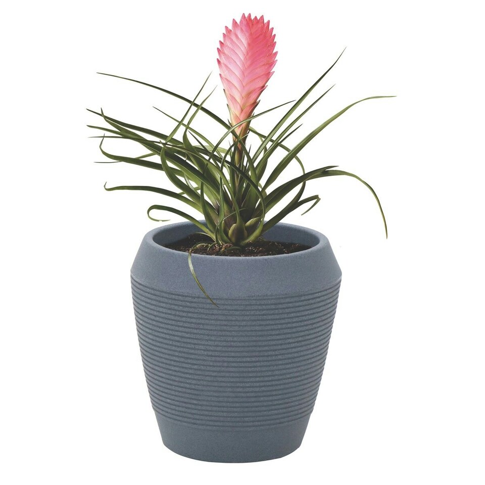 image 1 of Tramontina Egipcio Polyethylene Planter (39cm high, graphite)