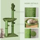 image 5 of PawHut Cactus Cat Tree Tower with Sisal Scratch Post Hammock, 96cm, Green