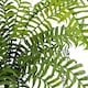 image 5 of 50cm Artificial Boston Fronded Fern Plant
