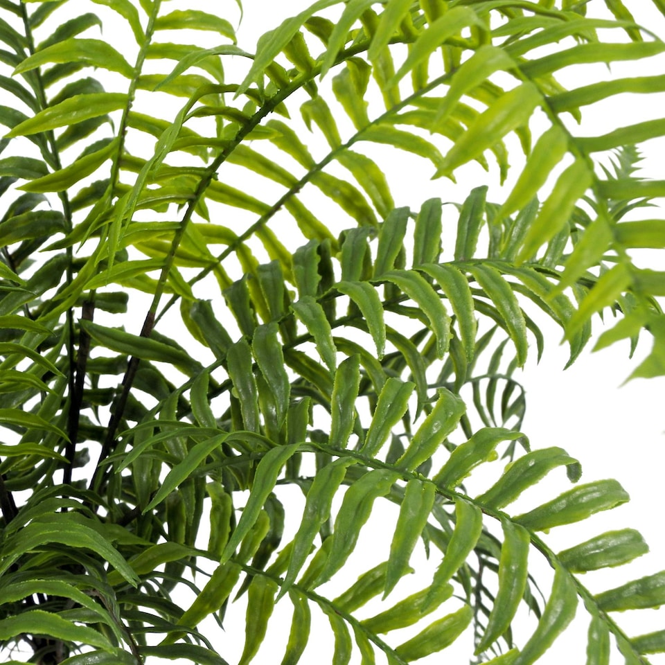 image 1 of 50cm Artificial Boston Fronded Fern Plant