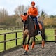 image 2 of Hy Sport Active Luxury Horse Bandages (Pack of 4) - Terracotta Orange - Cob/Full